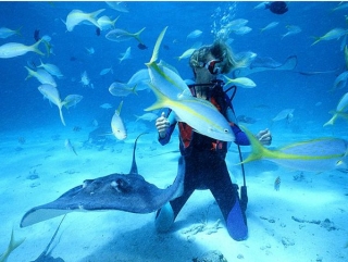  Amor a primera vista 